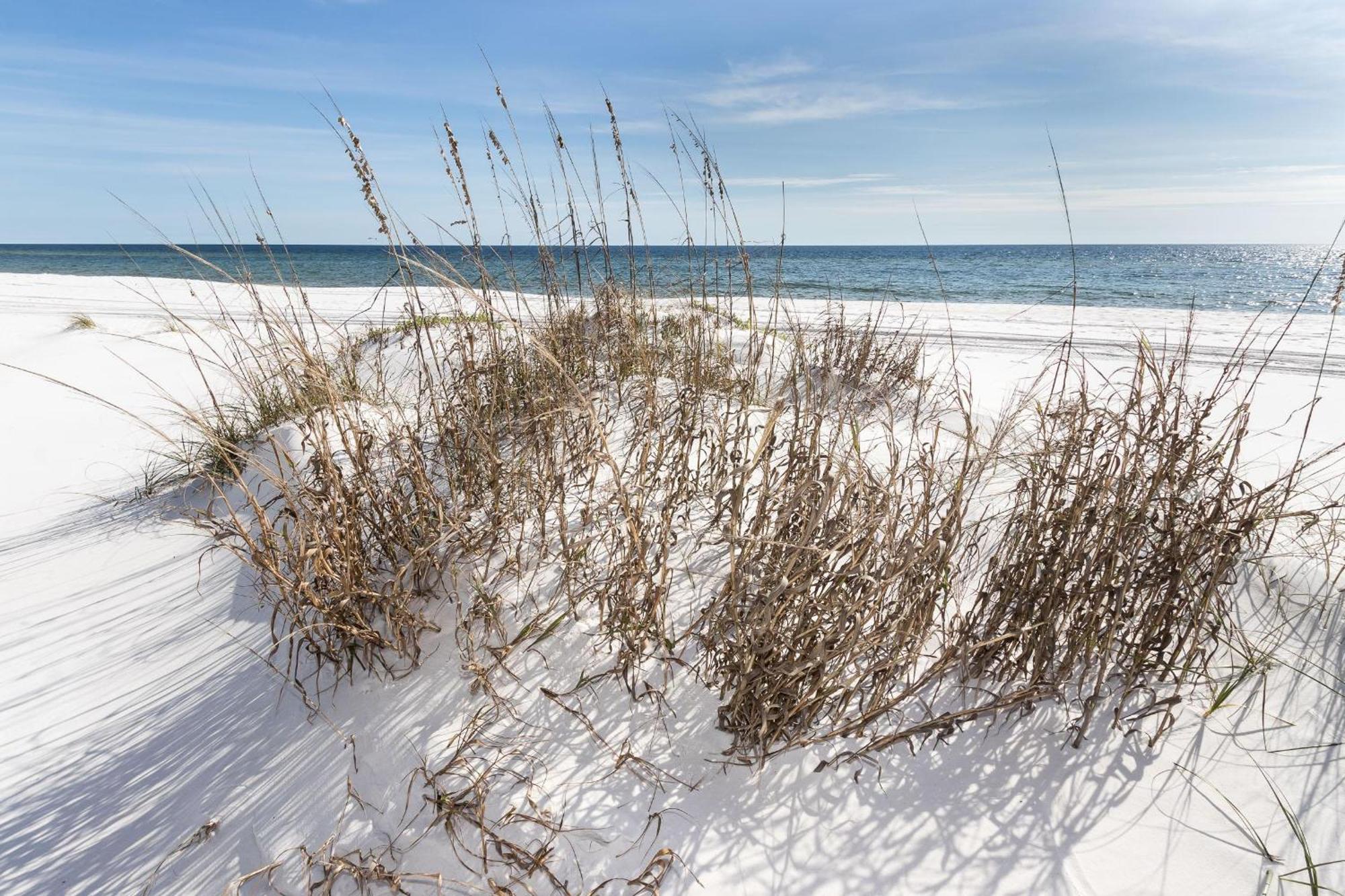 Nautilus 2408 Gulf View 2 Bedroom 4Th Floor Free Beach Service Fort Walton Beach Exterior foto